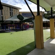 中学高校留学